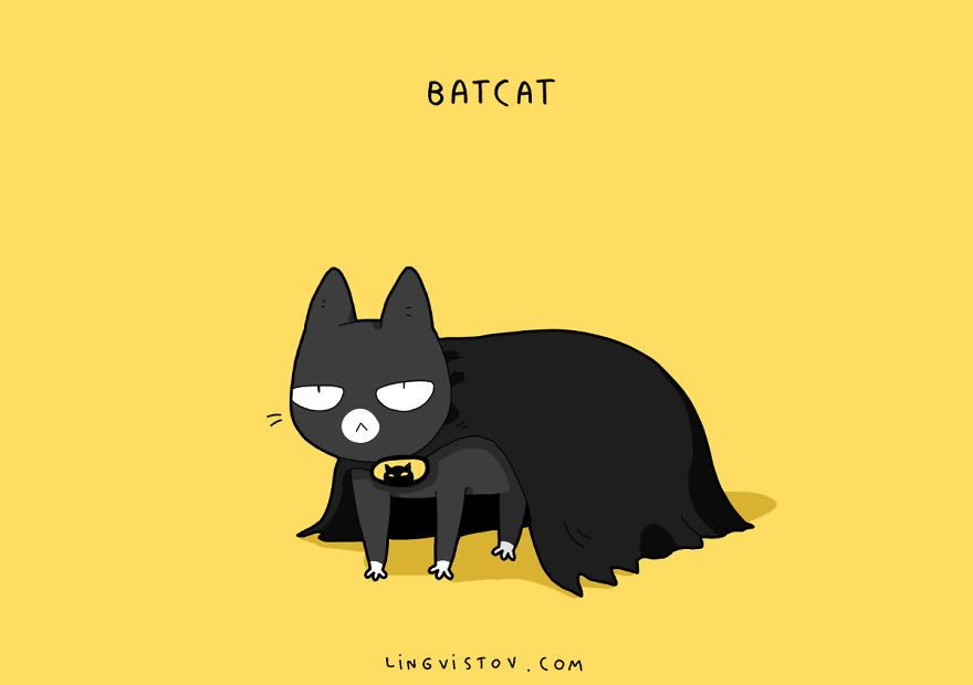 Batcat Batcat