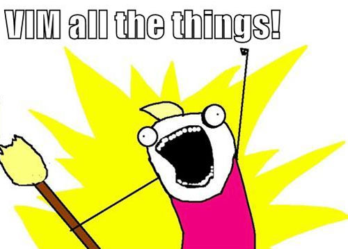 Vim all the things! Vim all the things! meme