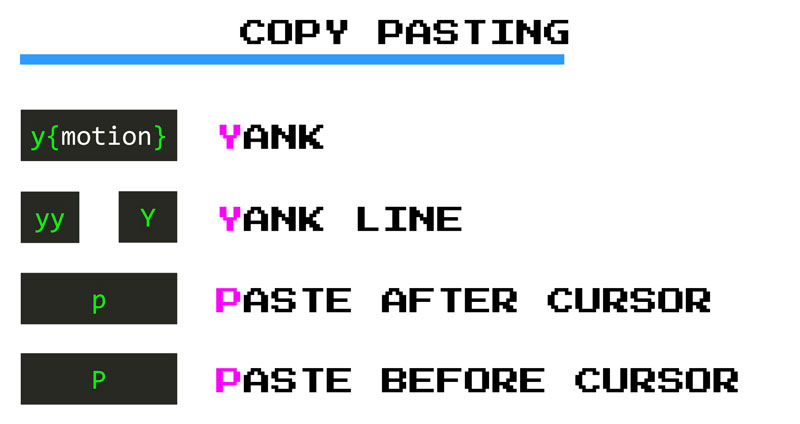 Vim copy paste commands