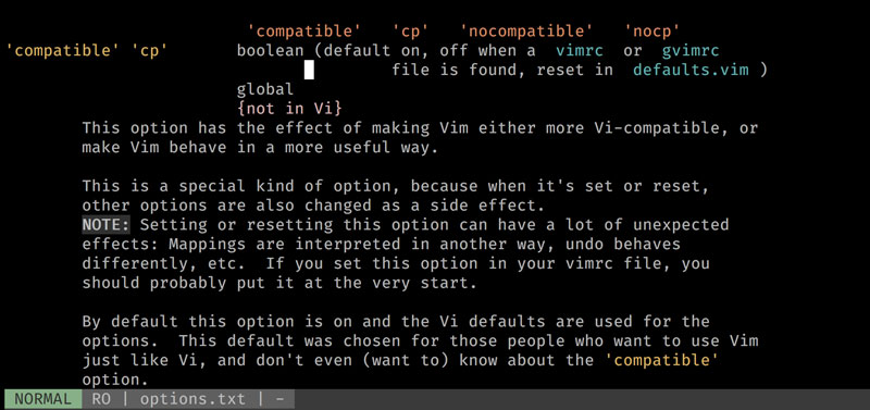 A screenshot of vim's help for the compatible option