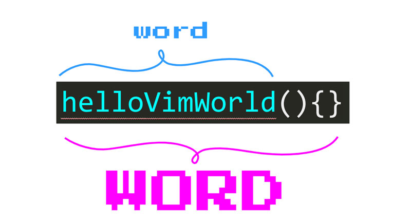 word VS WORD